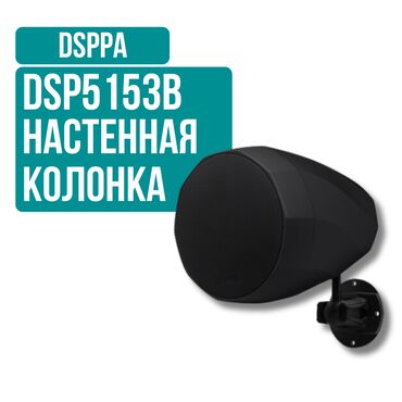 Рации и диктофоны: Настенный громкоговоритель DSPPA DSP5153 ✅ Подходит для