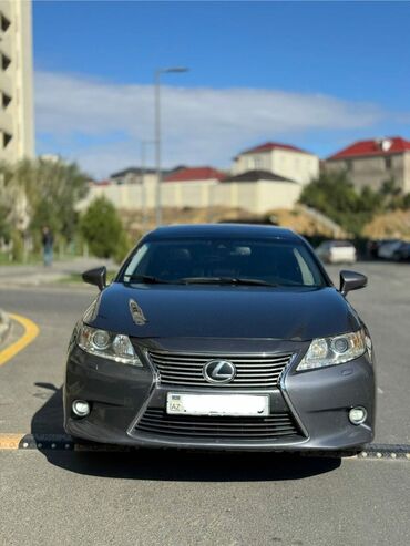 Lexus: Lexus