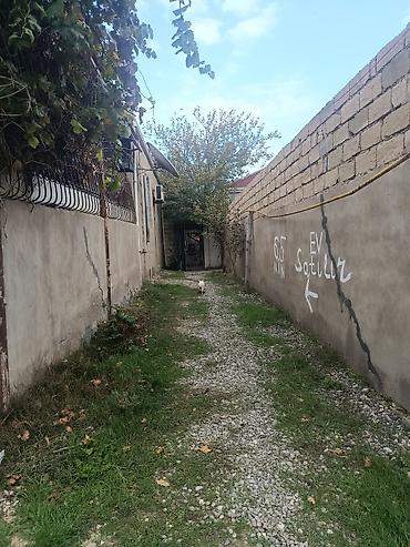 sut satisi: Bakı, Xocəsən, 2 kv. m, 3 otaqlı, İnternet, Telefon, Qaz — 3