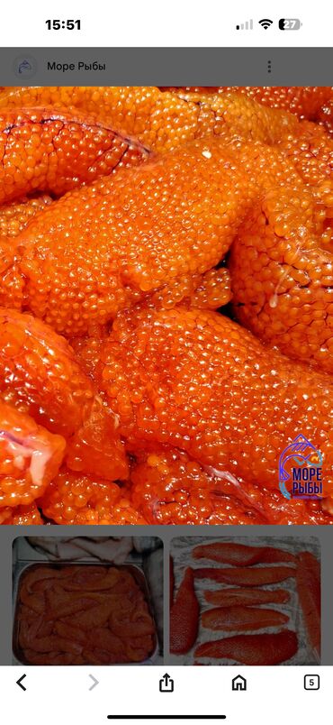 купить деревянная мантышница в бишкеке: Куплю икру форели