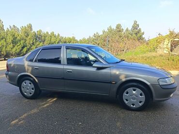 Opel: Opel Vectra: 1.8 l | 1996 il 208600 km Sedan — 13
