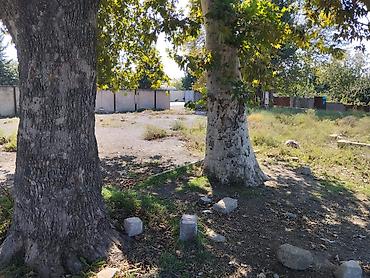 kirayə ev 20 ci sahə: 42 sot, Biznes üçün, Makler, Kupça (Çıxarış) — 4
