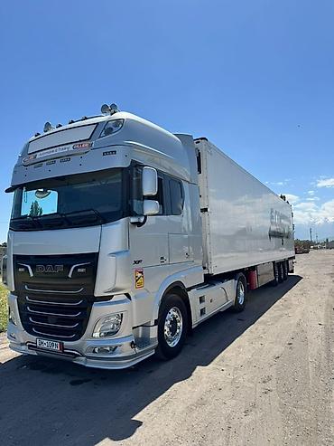 даф 2011: Тягач, DAF, 2020 г., Холодильник, рефрижератор — 1