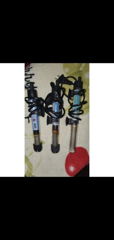 Digər məhsullar: Akvarium aksesuarları satılır təcili 🆘️ -da lalafo.az — 3 Digər məhsullar: Akvarium aksesuarları satılır təcili 🆘️ — 3