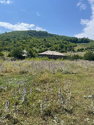 Torpaq sahələrinin satışı: 12 sot, Tikinti, Mülkiyyətçi, Kupça (Çıxarış), Bələdiyyə, Texniki pasport — 2