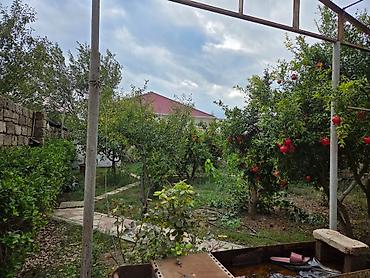 xirdalan kiraye: 3 otaq 7 sot icinde kohne suraxani viyolanin yani tam termili her şey — 9