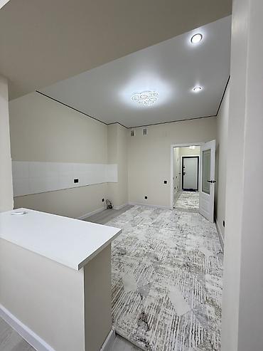 ско: 1 комната, 48 м², Пишпек Элитка, 5 этаж, Евроремонт — 5