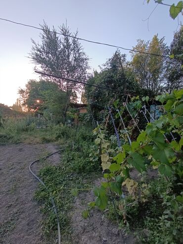 Продажа домов: Дом, 73 м², 5 комнат, Агентство недвижимости at lalafo.kg — 7 Продажа домов: Дом, 73 м², 5 комнат, Агентство недвижимости — 7