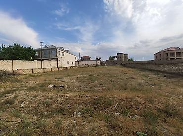 goredil: 15 sot, Biznes üçün, Mülkiyyətçi, Kupça (Çıxarış) — 2