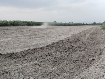 masazır torpaq satılır: 350 sot, Kənd təsərrüfatı, Mülkiyyətçi, Kupça (Çıxarış)