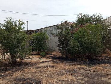 Bakı, Ramana qəs., 50 kv. m, 2 otaqlı, Qaz, İşıq, Su