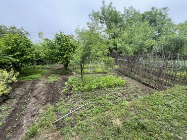 Torpaq sahələrinin satışı: 7 sot, Tikinti, Mülkiyyətçi, Kupça (Çıxarış) -da lalafo.az — 9 Torpaq sahələrinin satışı: 7 sot, Tikinti, Mülkiyyətçi, Kupça (Çıxarış) — 9