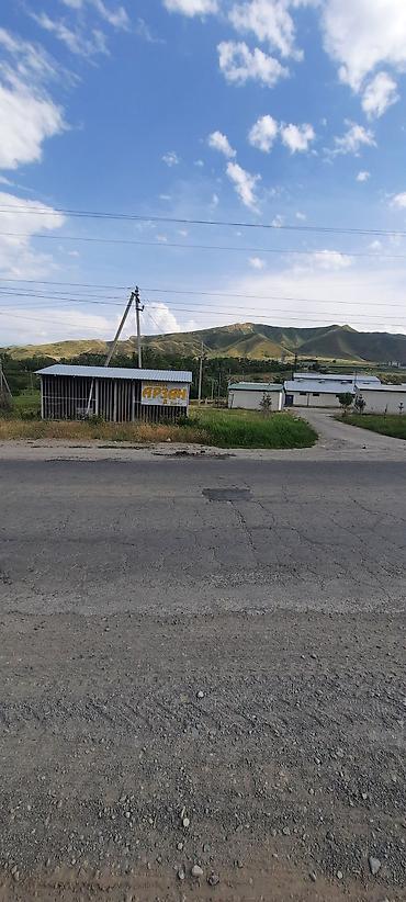 Лошади, кони: Продаю | Кобыла (самка), Конь (самец), Жеребец — 11