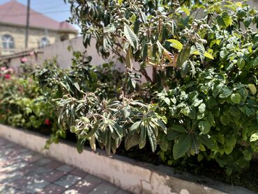 Həyət evləri və villaların satışı: 3 otaqlı, 272 kv. m, Kredit yoxdur, Orta təmir — 4