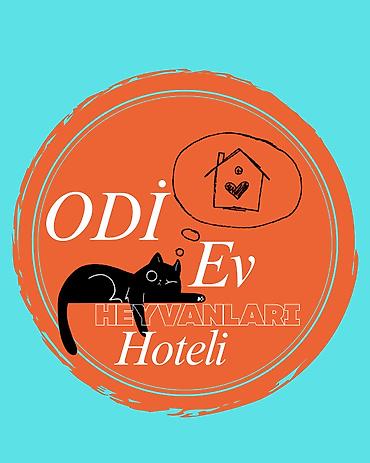 pişik üçün yuva: 🤍Sizin evinizdəki rahatlıq, bizim "Odi Pet Home Hotel"-də! 🐾✨ — 1