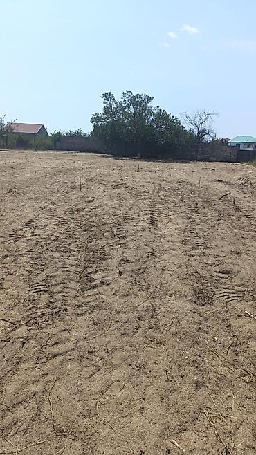 Torpaq: 19 sot, Tikinti, Makler, Kupça (Çıxarış) — 7