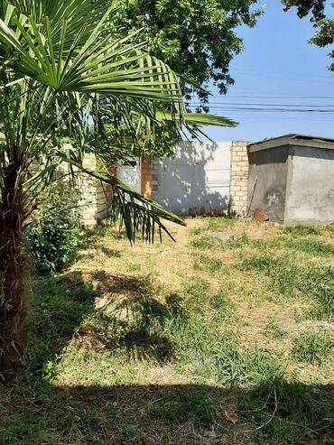 Bağ evlərinin satışı: Yerləşir:Göyçay rayonu Ərəb bələdiyyəsinin yanı trasın qrağı.25 sot -da lalafo.az — 3 Bağ evlərinin satışı: Yerləşir:Göyçay rayonu Ərəb bələdiyyəsinin yanı trasın qrağı.25 sot — 3