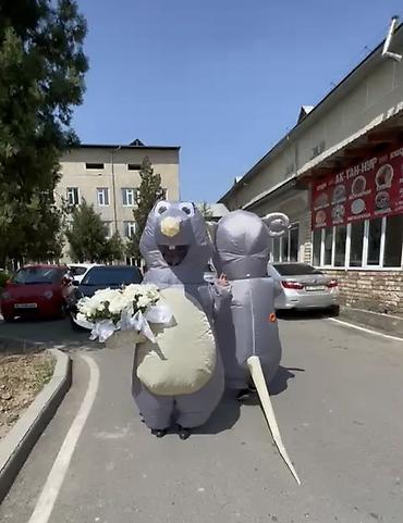 животные в аренду: Г. Ош
 Надувные костюмы «Крысы» для аниматоров/ивентов

Аренда — 1