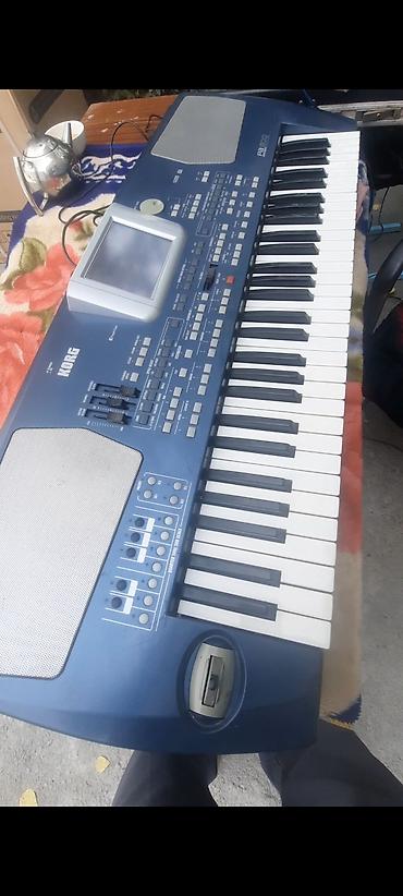 кербезим ноты: Korg Pa500 Türkiye — профессиональный аранжировщик с 61 клавишей — 1
