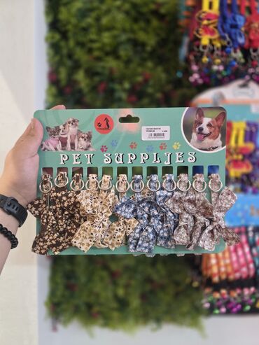 Xaltalar, qayışlar və tasmalar: Pişik və mini itlər üçün boyunbağılar. Taksilə çatdırılma xidmətimiz — 17