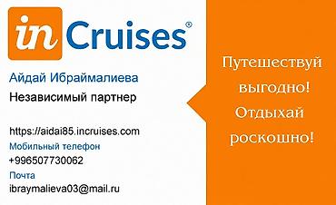 smart box: InCruises — клуб выгодных круизных путешествий - Независимый партнёр — 1