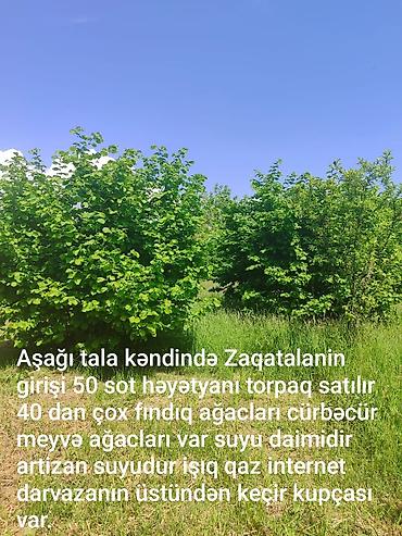 50 sot, Kənd təsərrüfatı, Mülkiyyətçi, Kupça (Çıxarış)