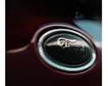 Ford: STAKLA ZA FORD GALAXY OD 2006. DO 2015. GOD. | SMEDEREVSKA PALANKA — 14