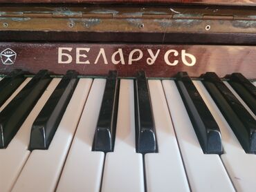 Musiqi alətləri üçün ləvazimatlar: Piano, Belarus, Akustik