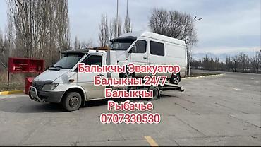 С лебедкой
