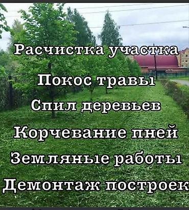 черна зем: Уборка территории, Уход за деревьями — 1
