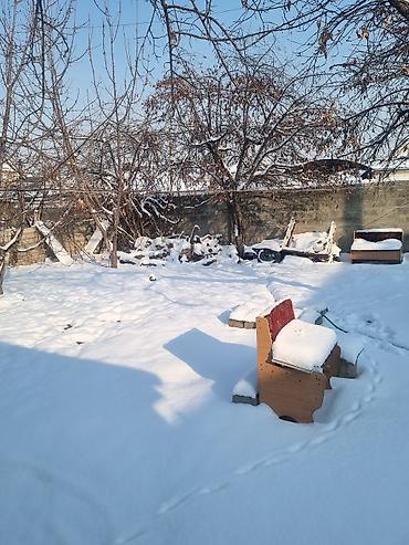 Продажа коттеджей и домов: Дом с участком - Одноэтажный дом с утеплённым фасадом и двускатной — 4