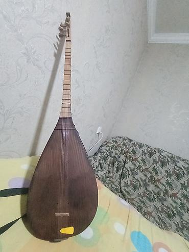 korg pa x: Saz – uzun saplı, yedditelli milli simli musiqi aləti - Korpus: armud — 5