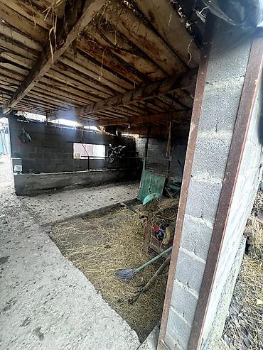 ΠΡΠΎΠ΄Π°ΠΆΠ° Π΄ΠΎΠΌΠΎΠ²: ΠΠΎΠΌ, 60 ΠΌΒ², 4 ΠΊΠΎΠΌΠ½Π°ΡΡ at lalafo.kg β 8 ΠΡΠΎΠ΄Π°ΠΆΠ° Π΄ΠΎΠΌΠΎΠ²: ΠΠΎΠΌ, 60 ΠΌΒ², 4 ΠΊΠΎΠΌΠ½Π°ΡΡ β 8