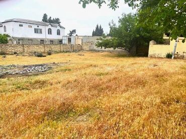 недвижимость в кусарах: 15 соток, Риэлторам не беспокоить, Купчая