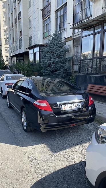 2008: Nissan Teana: 2008 г., 3.5 л, Бензин, Седан — 3