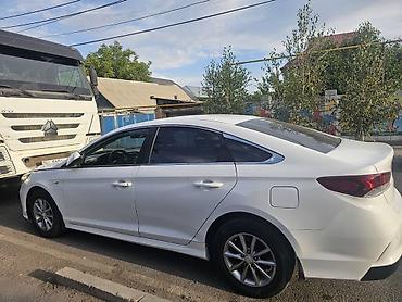 соната жёлтый: Hyundai Sonata: 2019 г., 2 л, Автомат, Газ, Седан — 4
