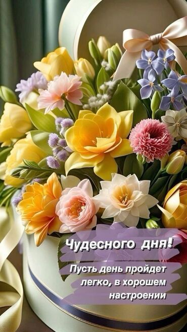 одно комнатный: 1 комната, 25 м², С мебелью