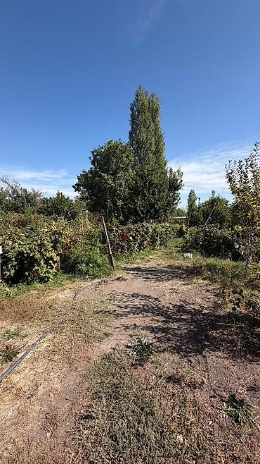 Продажа домов: 4 комнаты, 90 м², 8 соток, Шопоков, Агентство недвижимости — 8