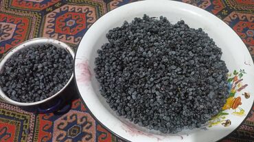 коврик для зала: Кара моюл
