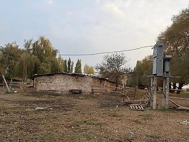 үй жер: 300 соток, Айыл чарба үчүн — 3