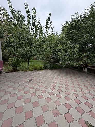 Продажа коттеджей и домов: Продается дом в село ортосай. 11соток. Два дома на одном участке — 13