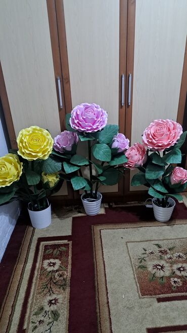 Лилии: Лилии — 5