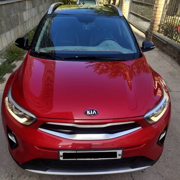 Kia: Kia Stonic: 2019 г., 1 л, Автомат, Бензин, Кроссовер