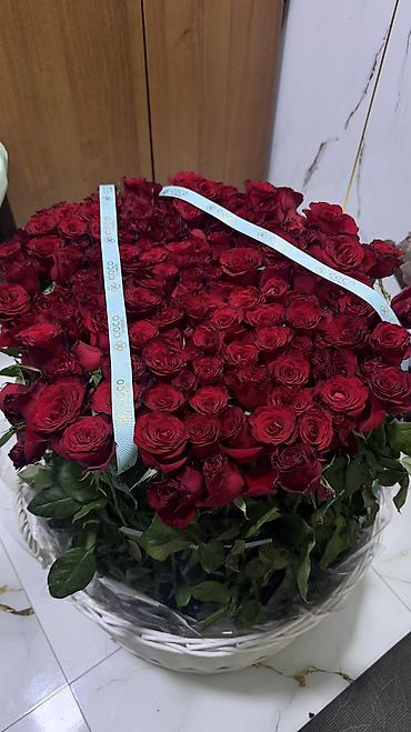 подарка на день рождения: Розы в корзине
получены 20.09 — 1