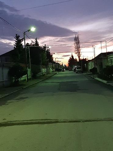 Həyət evi alıram: - Geniş, daşla döşənmiş həyət: yaşıl ağaclar, gül kolları, hasarlı — 18