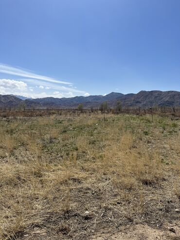 Продажа участков: 600 соток, Для сельского хозяйства, Красная книга, Тех паспорт, Договор купли-продажи — 11