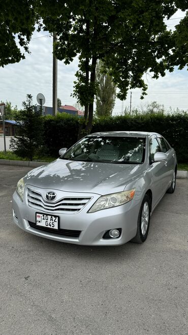 смок нова 2: Toyota Camry: 2010 г., 2.4 л, Автомат, Бензин, Седан