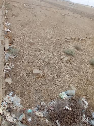 torpaq sarayda: 10 sot, Tikinti, Makler, Kupça (Çıxarış) — 7