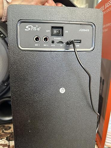 rant ace: Портативная акустическая система Sing-e JQS9405 с караоке - Мощность — 4