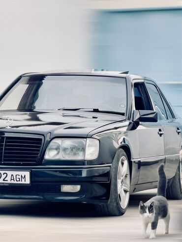 фары на мерседес 124 бишкек: Mercedes-Benz W124: 1994 г., 2.2 л, Автоматтык, Бензин, Седан